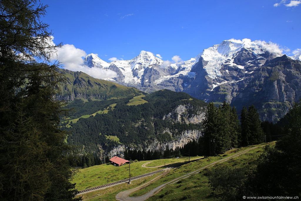 Ich liebe diesen Ausblick - immer wieder - zu jeder Jahreszeit!
