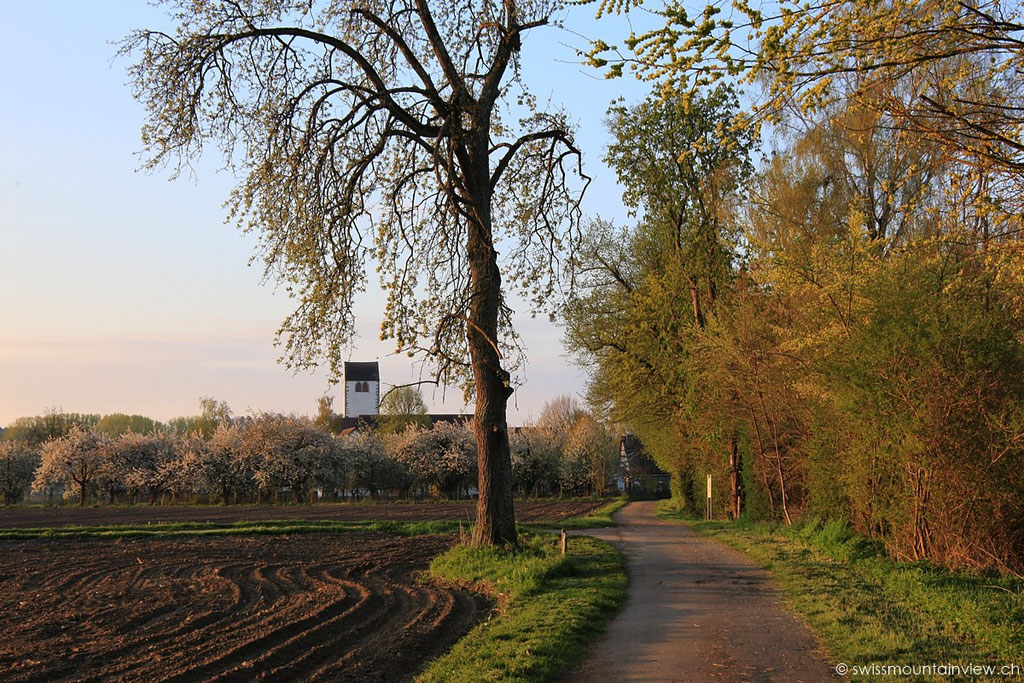 Seefelden am Bodensee