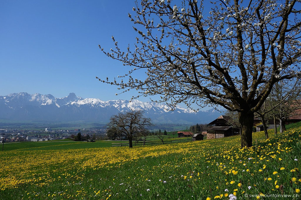Steffisburg bei Thun, Blick auf Stockhornkette, Berner Oberland - Bernese Oberland