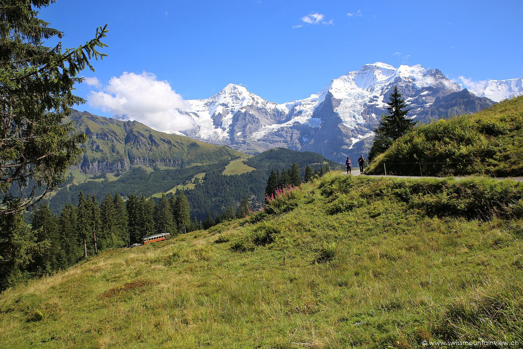 Von Lauterbrunnen mit der Gondel hinauf auf die Grütschalp und nun unterwegs Richtung Winteregg