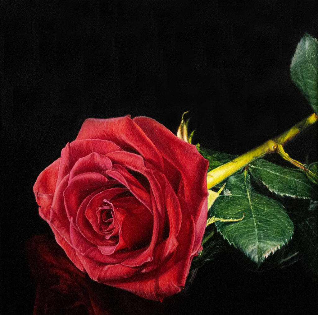 ROSA NARCISISTA / NARCISSIST ROSE Oil on canvas 20 x 20 cm 2024 / AVAILABLE - EN VENTA