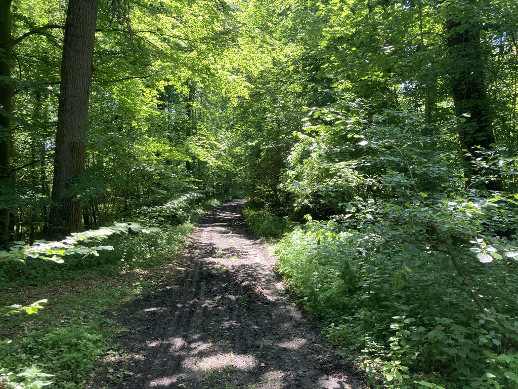 Eingang Naturschutzgebiet Im Wischen