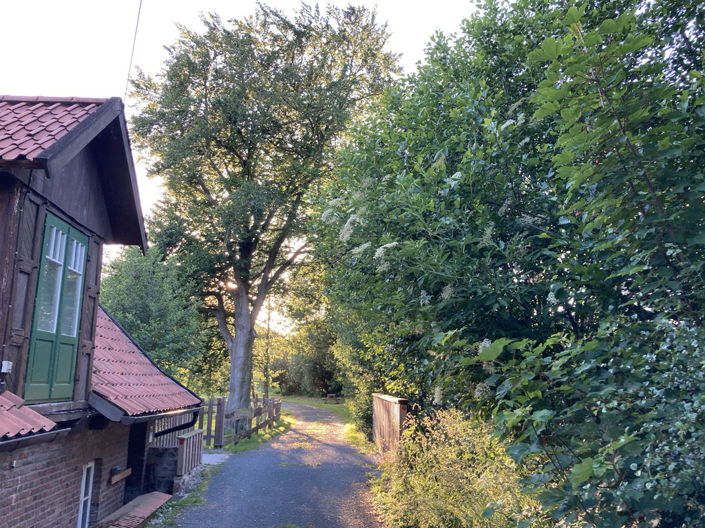 Wassermühle neben der Mühlenteich rechts