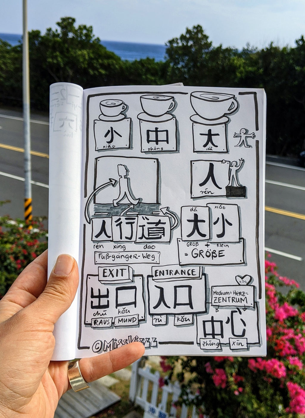 Chinese Characters Visualization Drawing Language Learning Illustration
