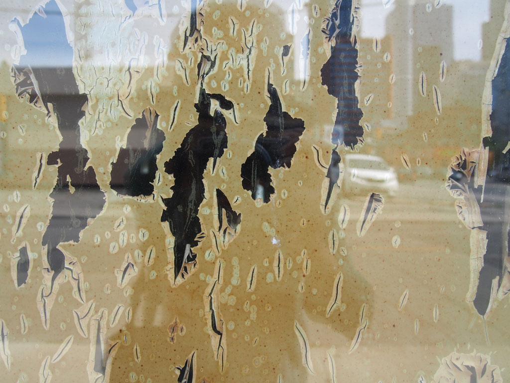 This photo is taken by Sae Kimura of a deserted storefront window with the paint on the inside peeling. If you look closely you can see her shadow on the left and on the right, where the glass is more exposed a clearer reflection. 