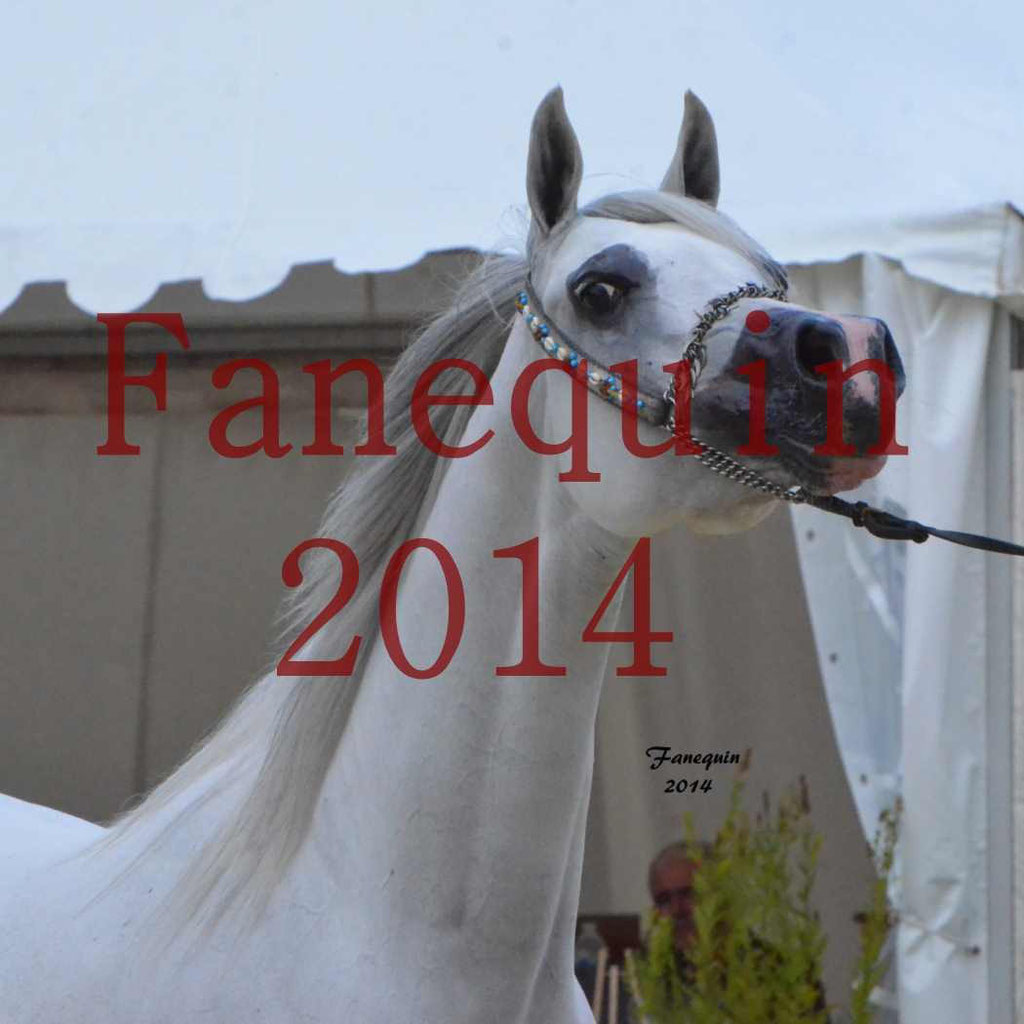 ﻿CHAMPIONNAT DE FRANCE 2014 A POMPADOUR - Notre Sélection - Portraits - BLEUENN MILIN AVEL - 1