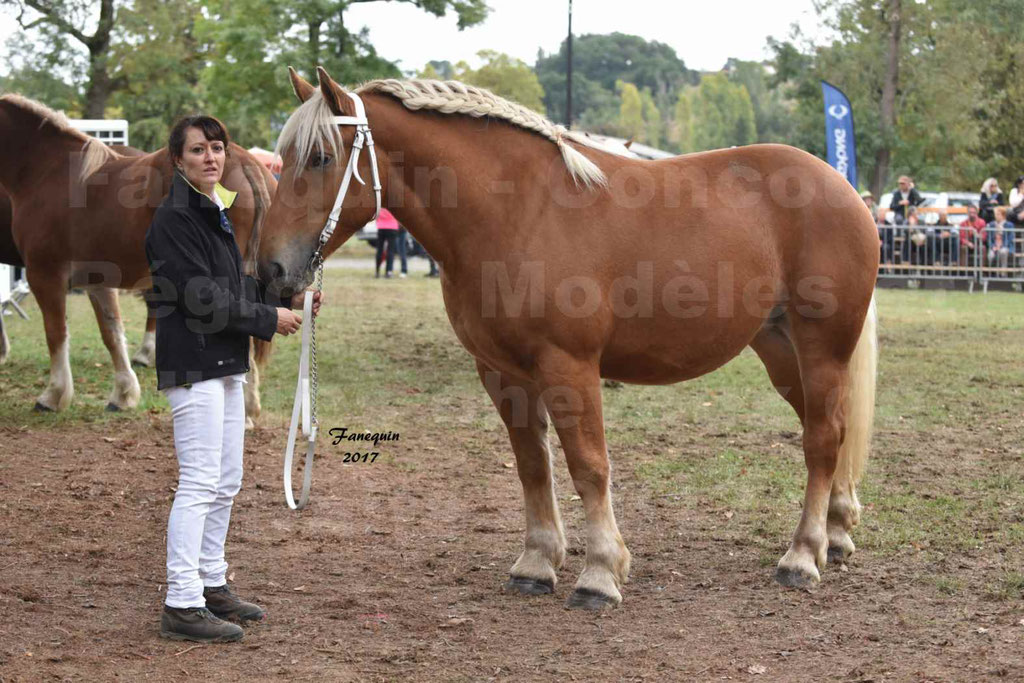 Concours Régional de Chevaux de Traits région Occitanie en 2017 - 2