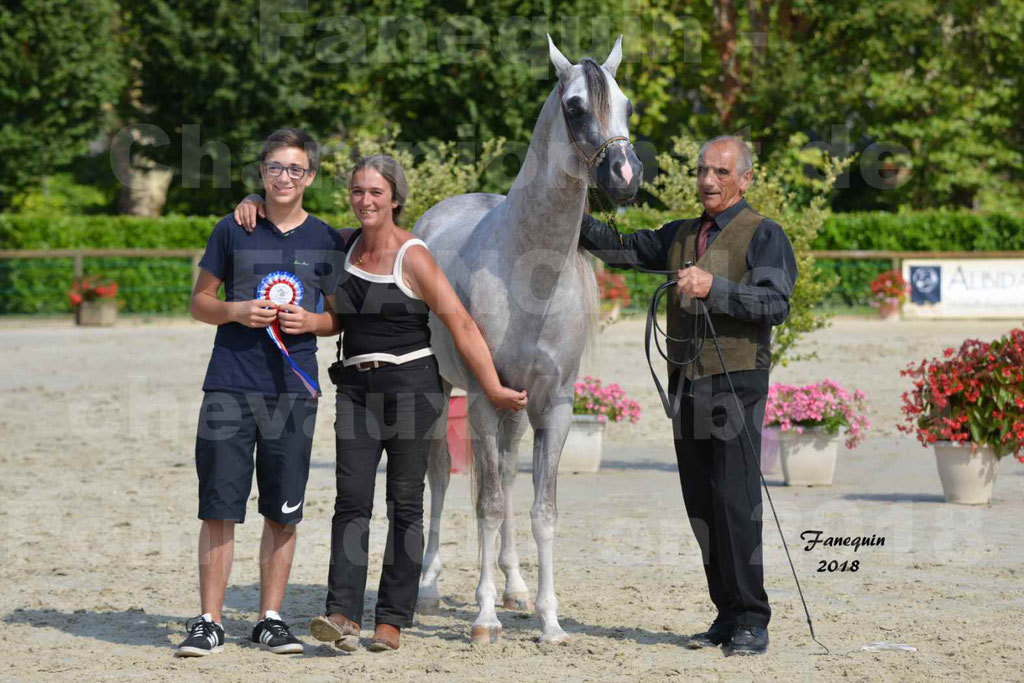 Championnat de FRANCE de chevaux Arabes à Pompadour en 2018 - SH CHAGALL - Notre Sélection - 15