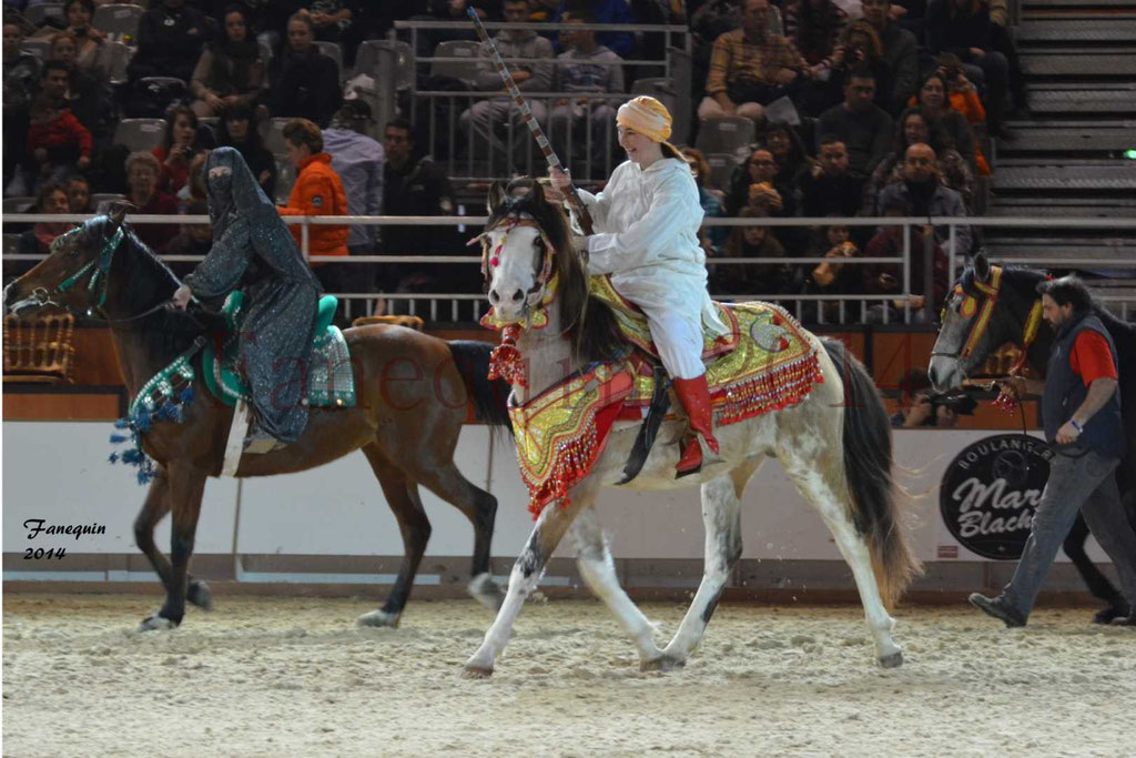 Show des races - Chevaux BARBE 05