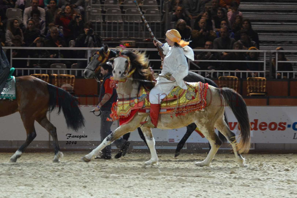 Show des races - Chevaux BARBE 17