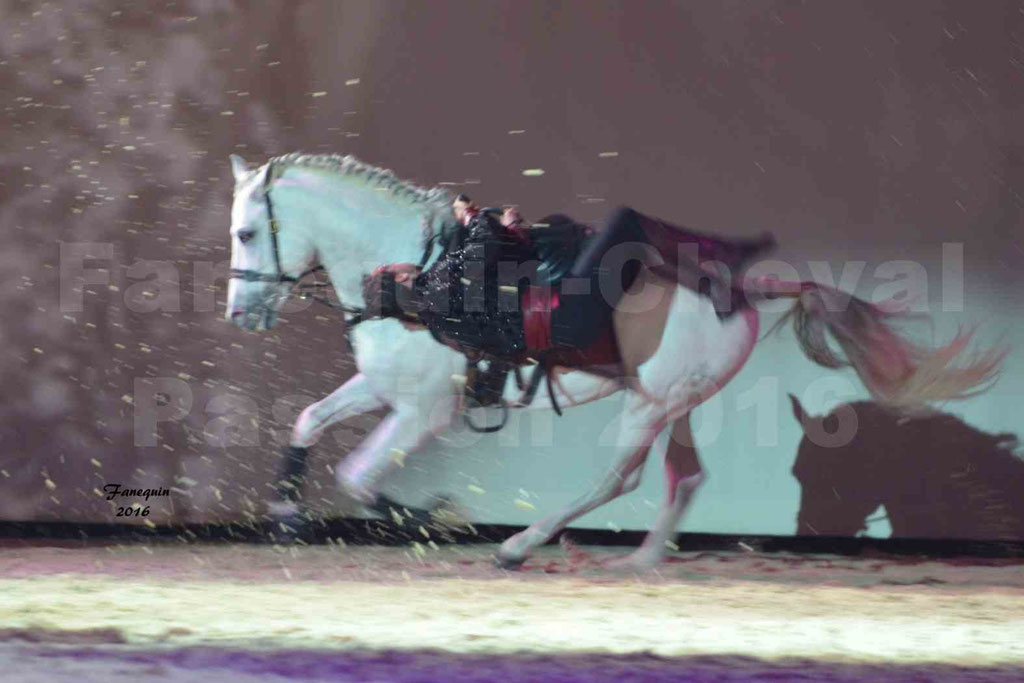 Cheval Passion 2016 - Gala des Crinières d'OR - Troupe JEHOL - 6