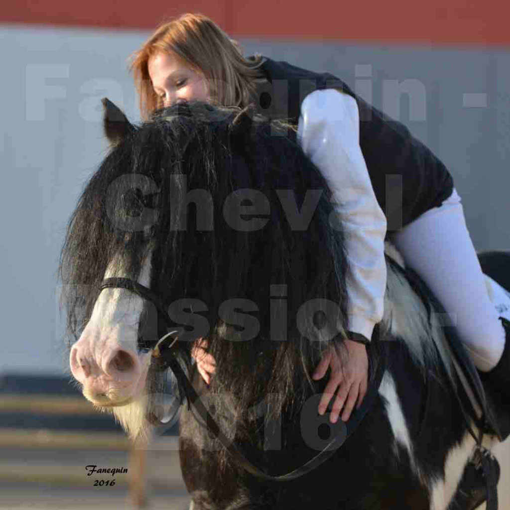 Cheval Passion 2016 - IRISH COB - monté par une cavalière - Portraits - 08