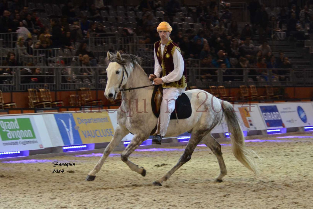 Show des races - Chevaux BARBE 11