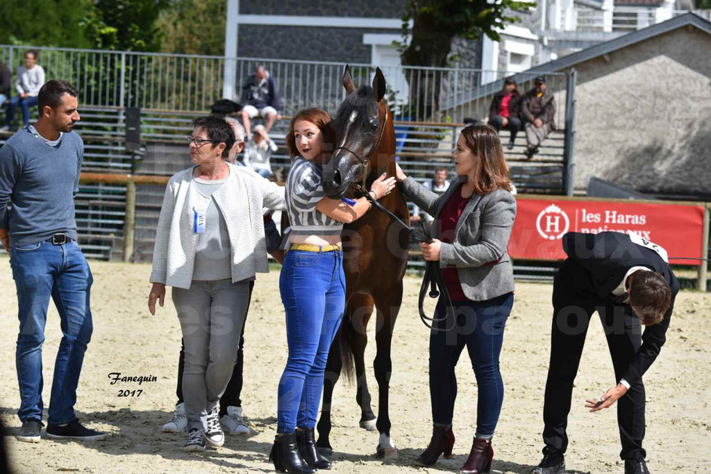 Championnat de France de chevaux Arabes à Pompadour les 19 & 20 Août 2017 - ESMAELIA AL HEVAN - 14