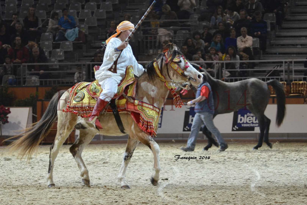 Show des races - Chevaux BARBE 04