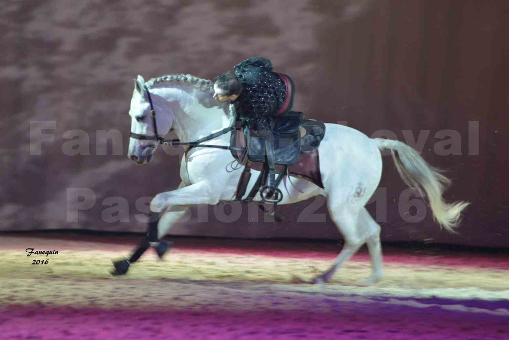 Cheval Passion 2016 - Gala des Crinières d'OR - Troupe JEHOL - 2