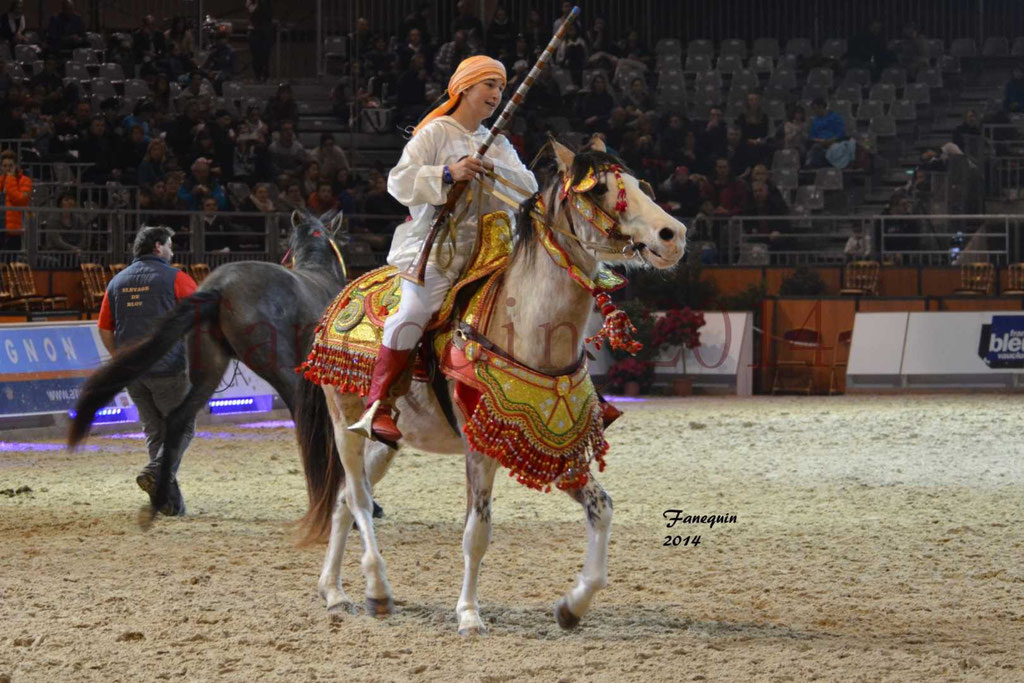 Show des races - Chevaux BARBE 28