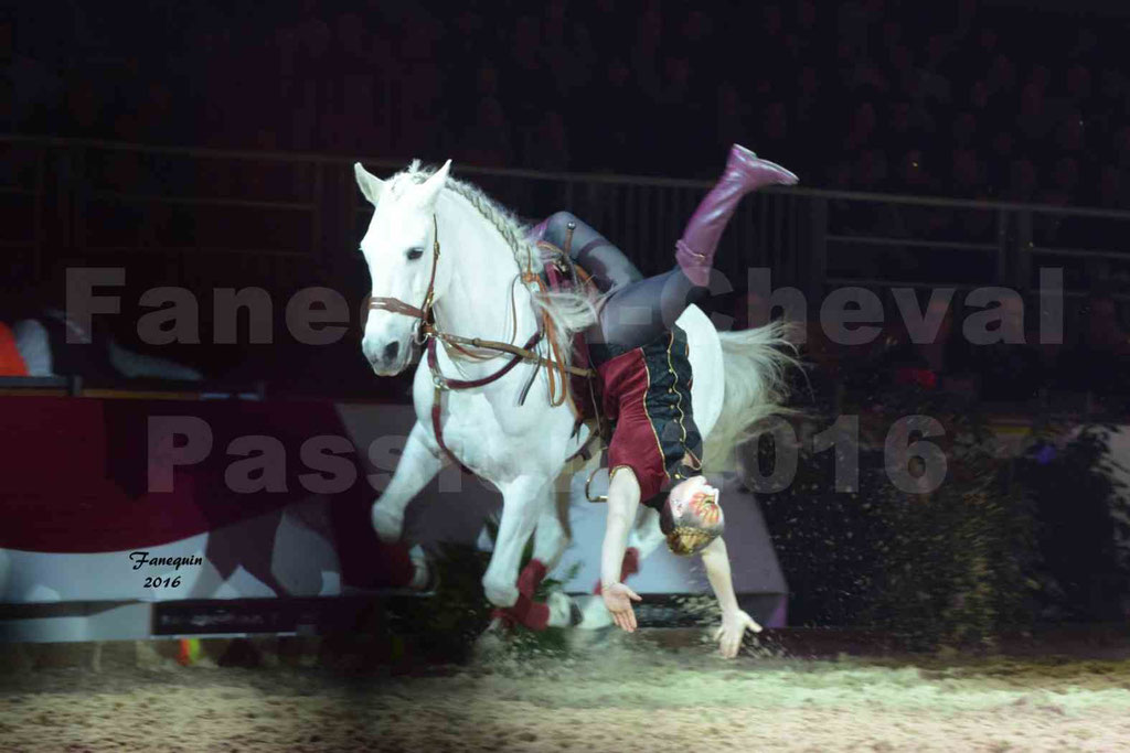 Cheval Passion 2016 - Gala des Crinières d'OR - Troupe JEHOL - 5