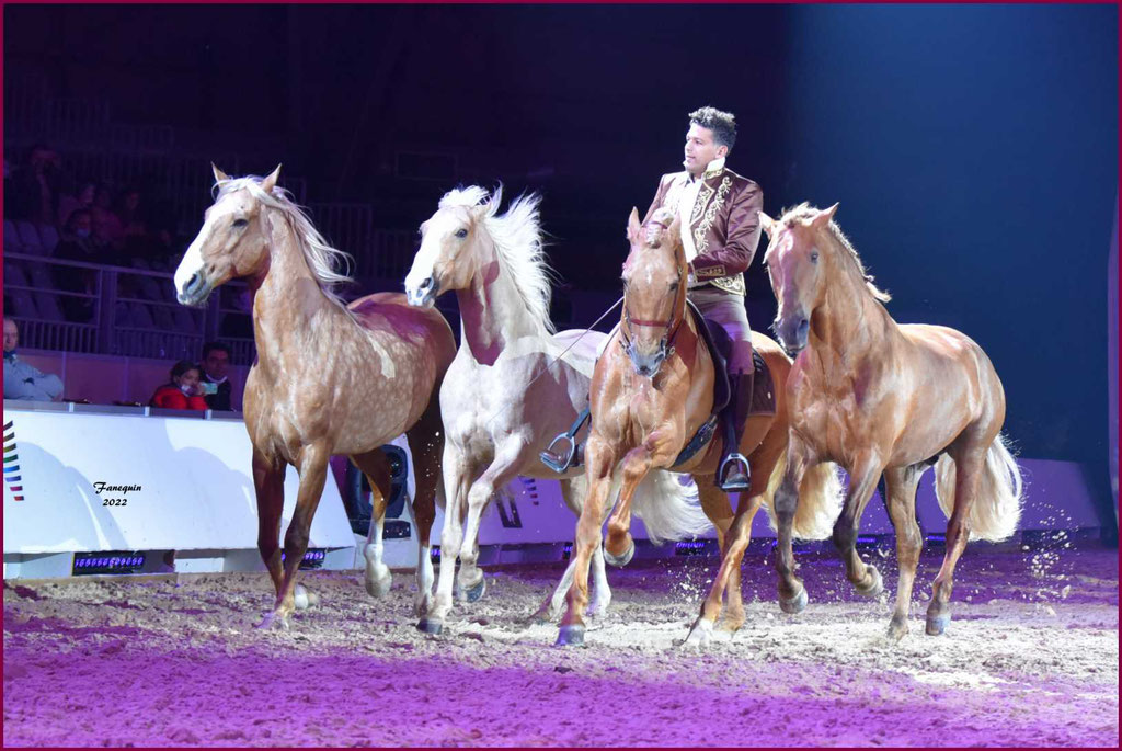 CHEVAL PASSION 2022 - Spectacle les Crinières d'OR - GARI ZOHER