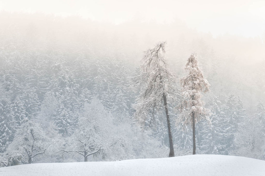 Winterstimmung