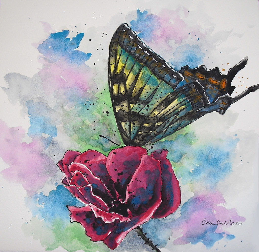 A butterly on a rose 