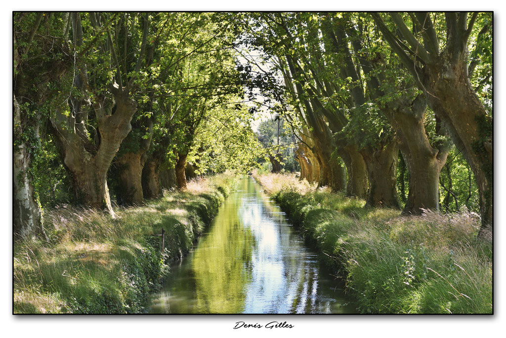 Canal des Alpines