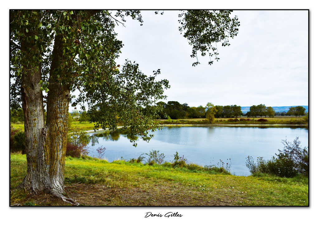 Etang bord autoroute A62