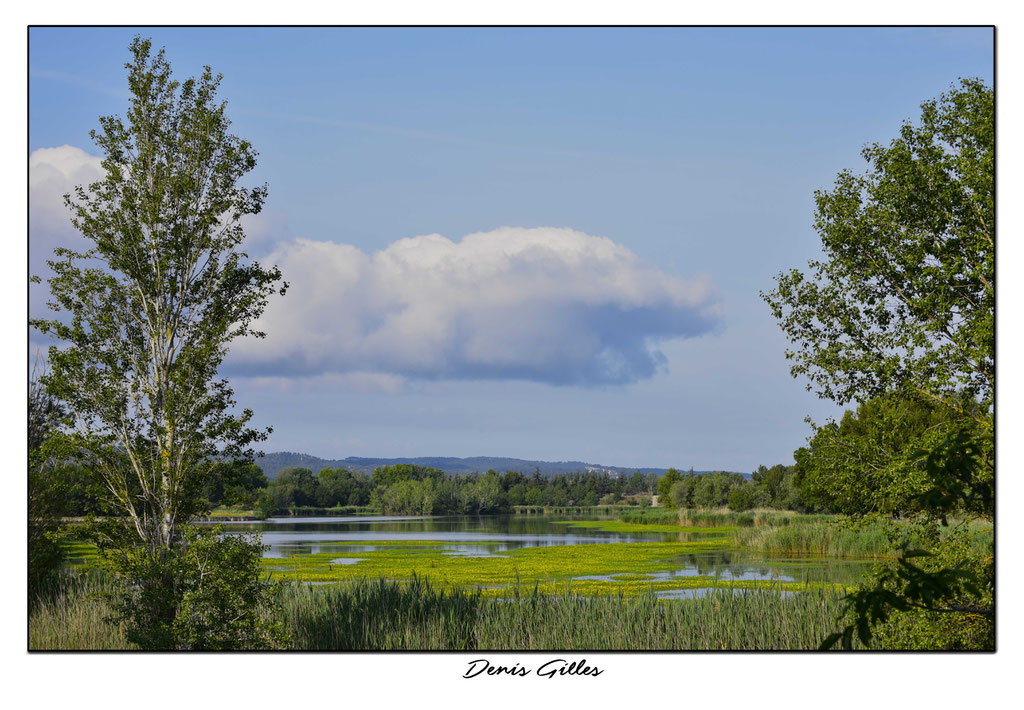 Etang de Rambaille Tarascon