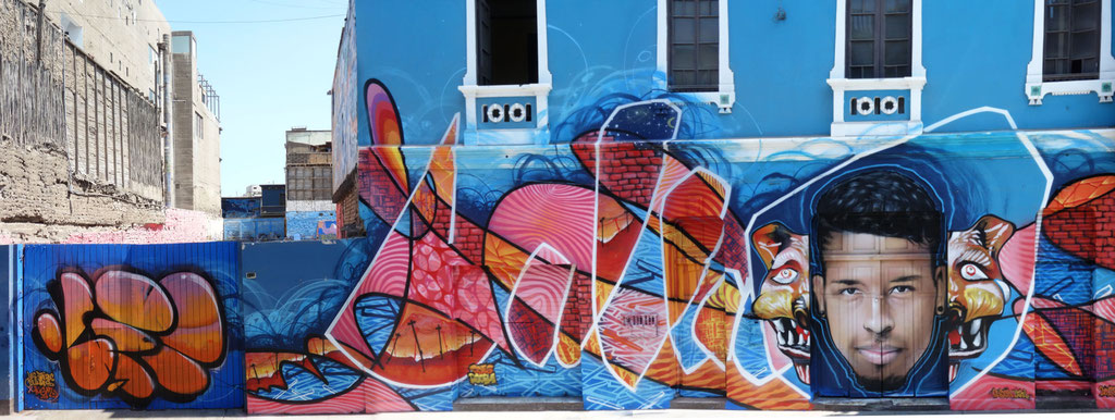 Casa Azul - ODEG & JEAN ROOBLE - Spraypaint on wall (6 x 25 m) - Lima, Peru (2017)