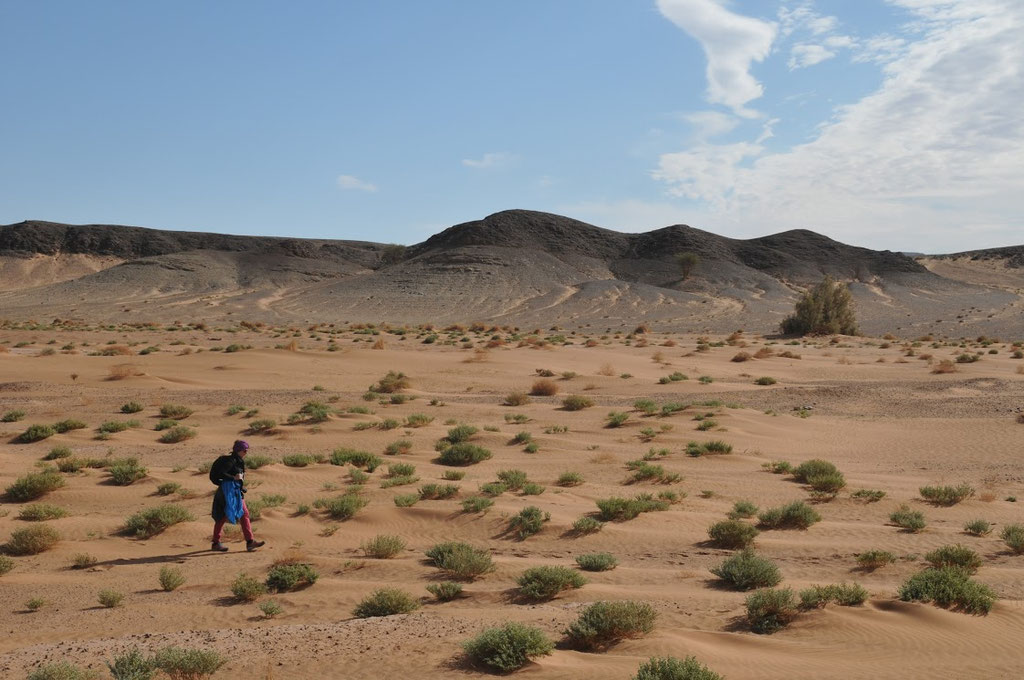 Voyage, trek et excursion dans le désert marocain avec l'agence locale Mélodie du désert