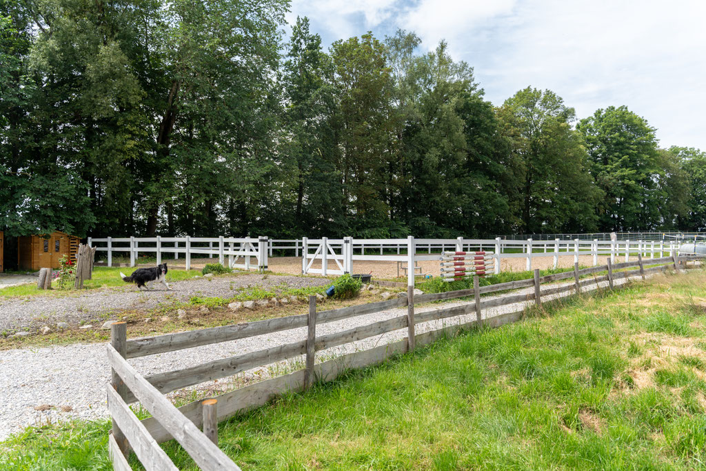 Allwetter Reitplatz 20 m x 40 m