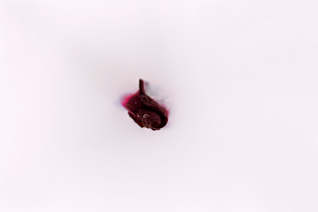 O.T. 1