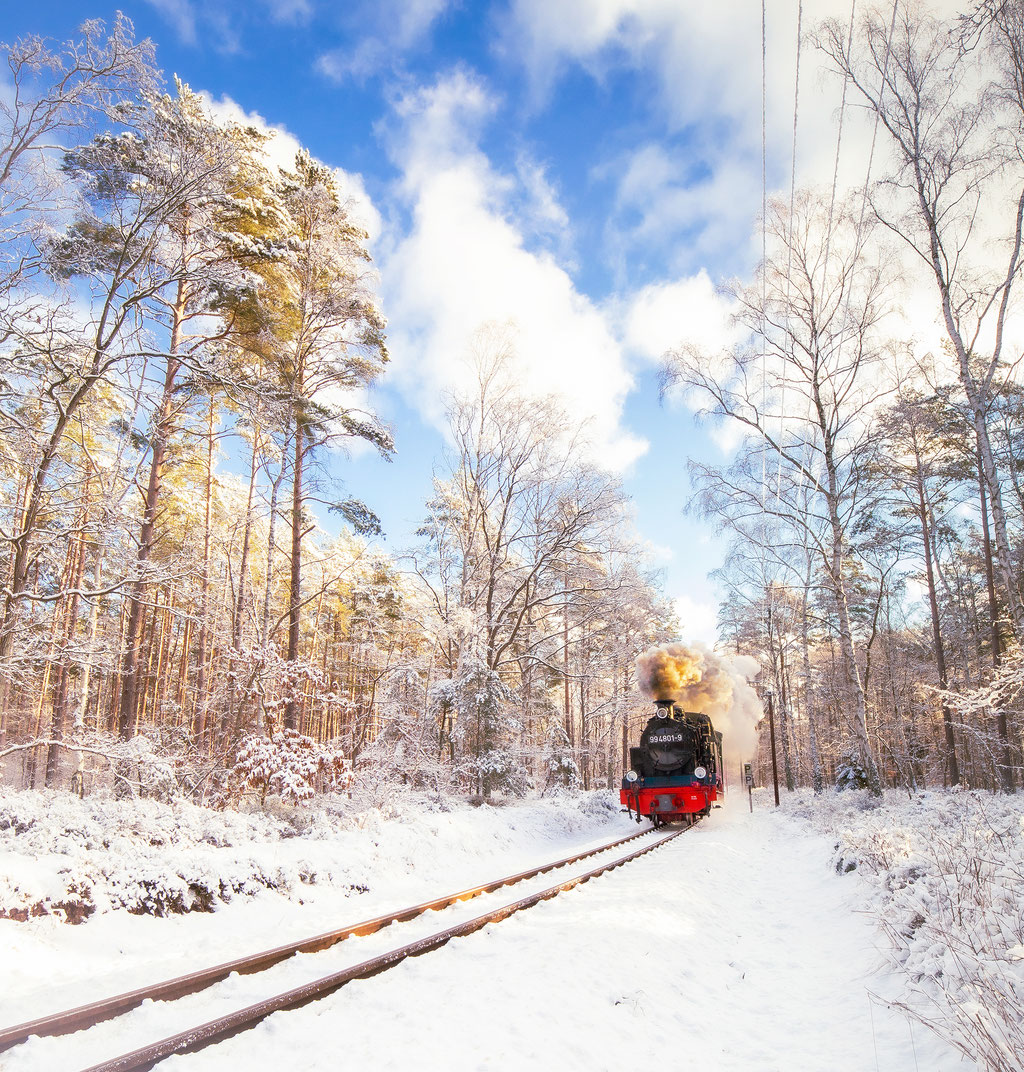 Rasender Roland im Schnee