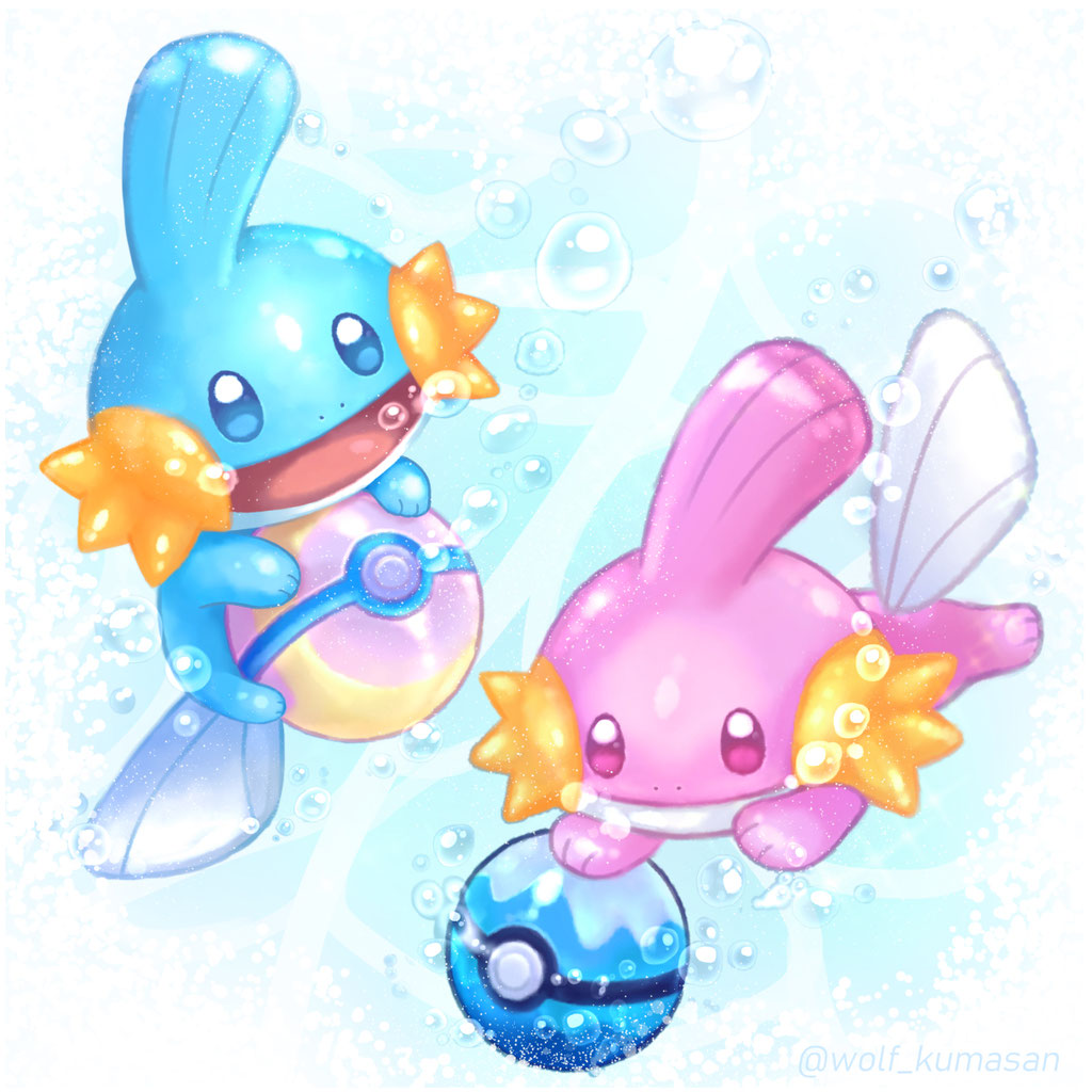 ミズゴロウ　2019年