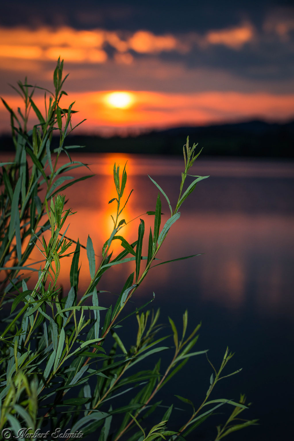 Hopfen am See