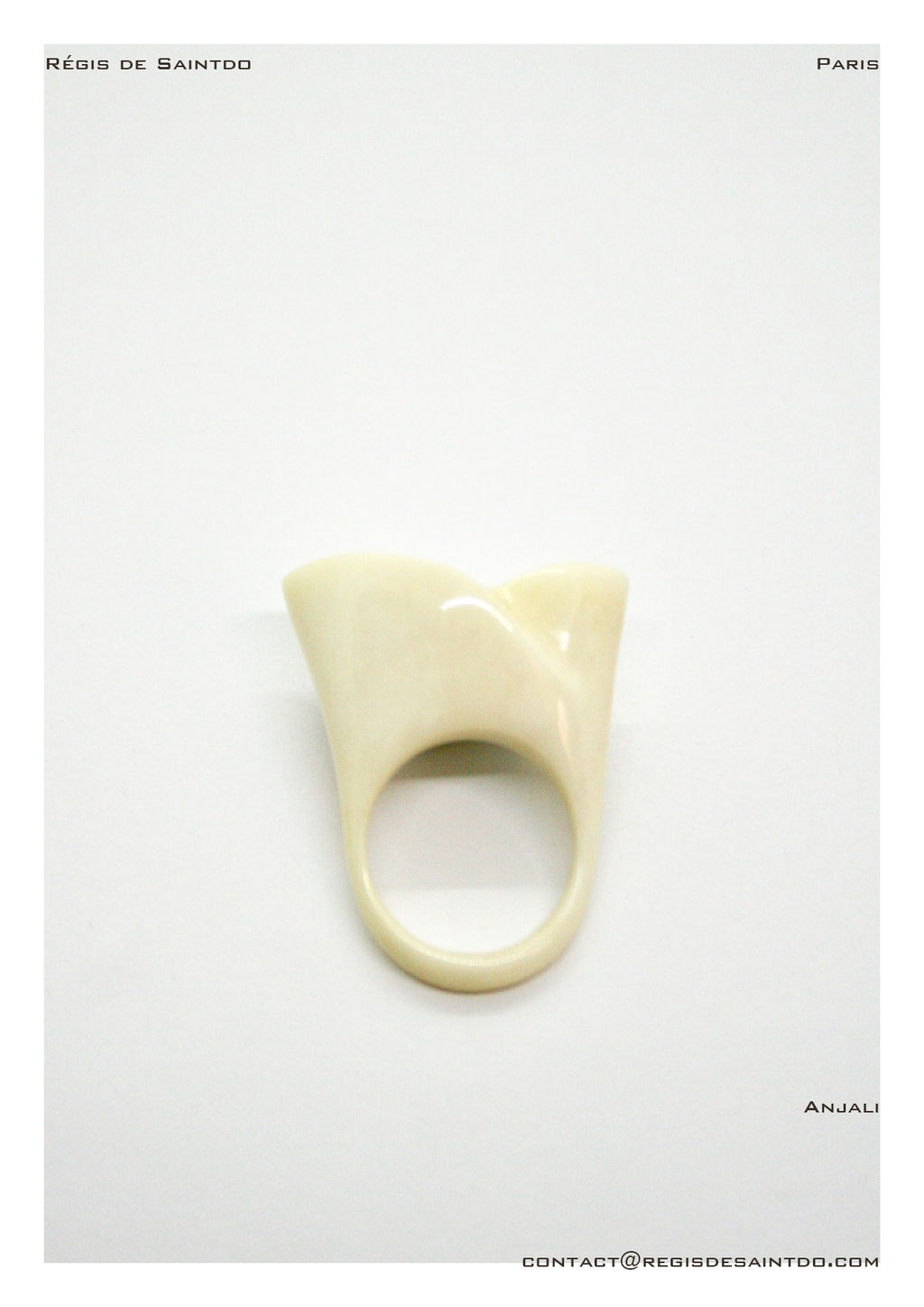 ©Régis de Saintdo-ring-bone-hand made