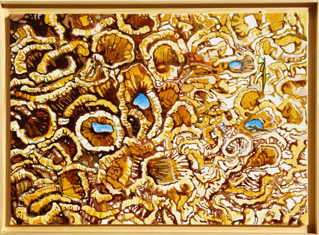 Cortiça com gafanhotos - acrylico na tela - 70 x 50 cm