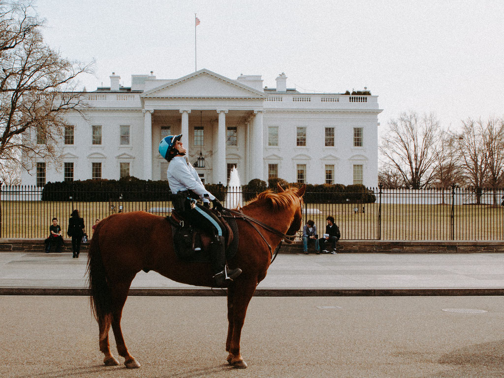 the White House