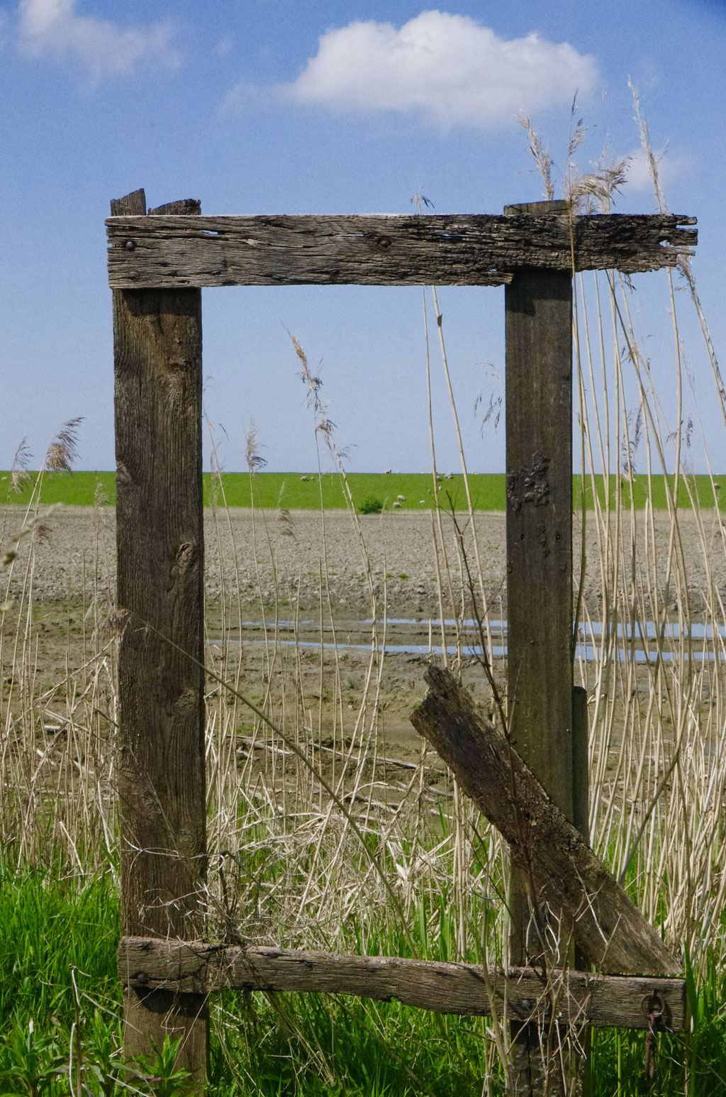 Durchblick