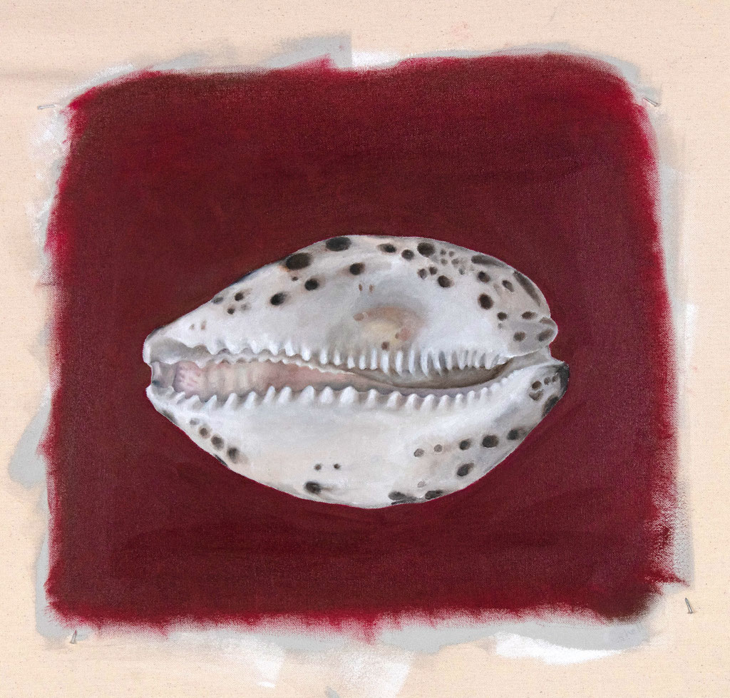 Paul - shell
