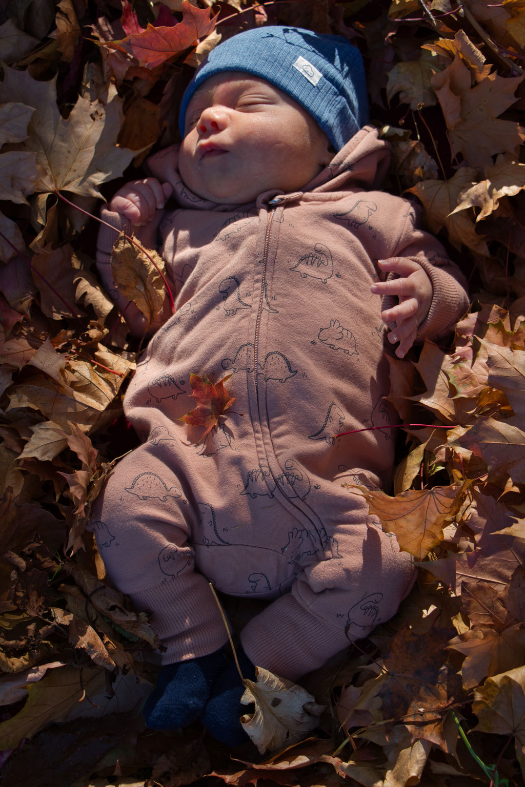 Babyfoto mit Blättern im Herbst - Priml Photography by Domink Primus
