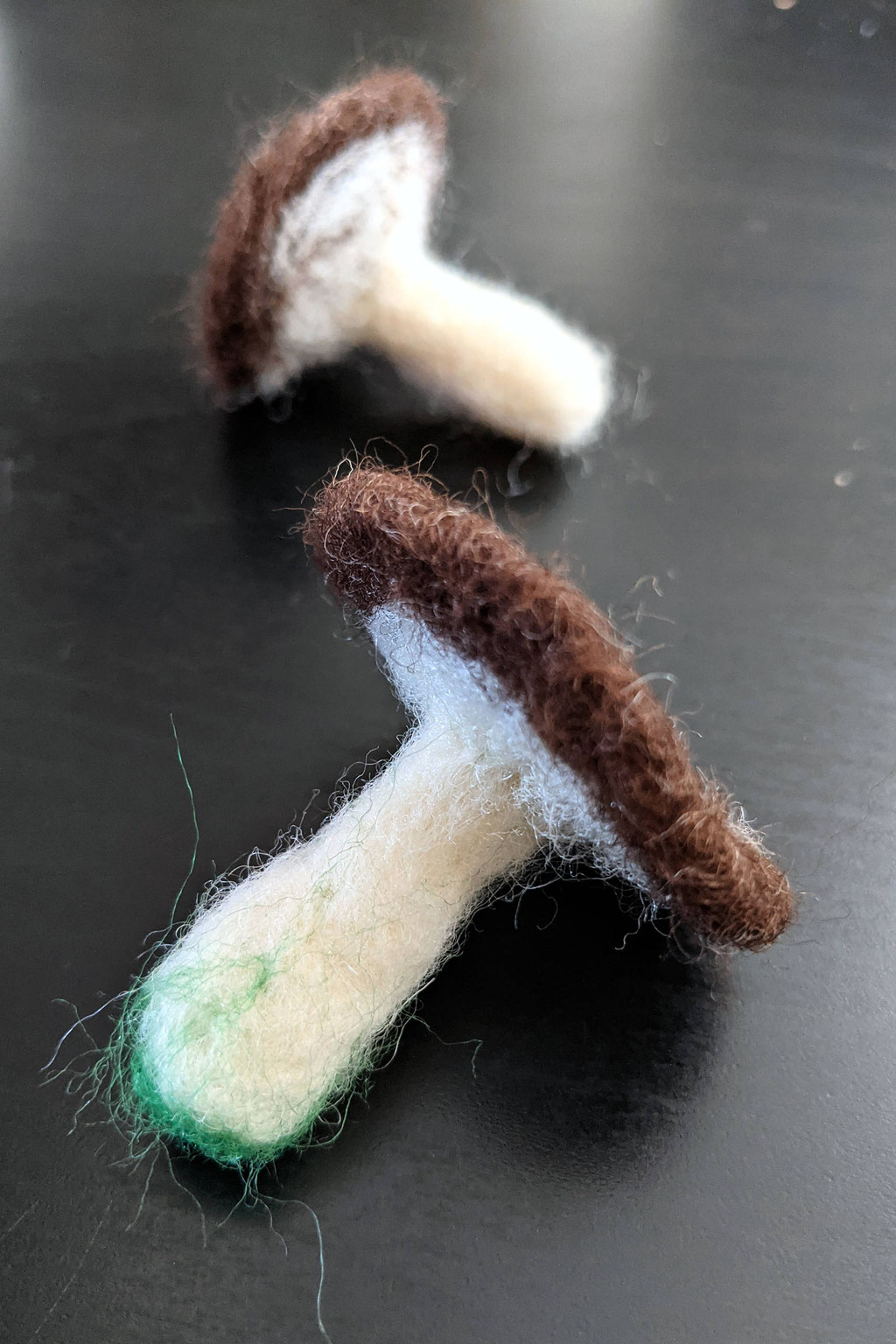 Two cute needle-felted mushrooms in brown, white and green on black table