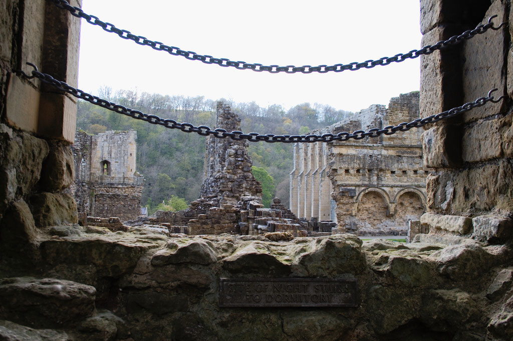 Rievaulx Abbey - Ruinen Fotos Teil 3 - Zebraspider DIY Anti-Fashion Blog