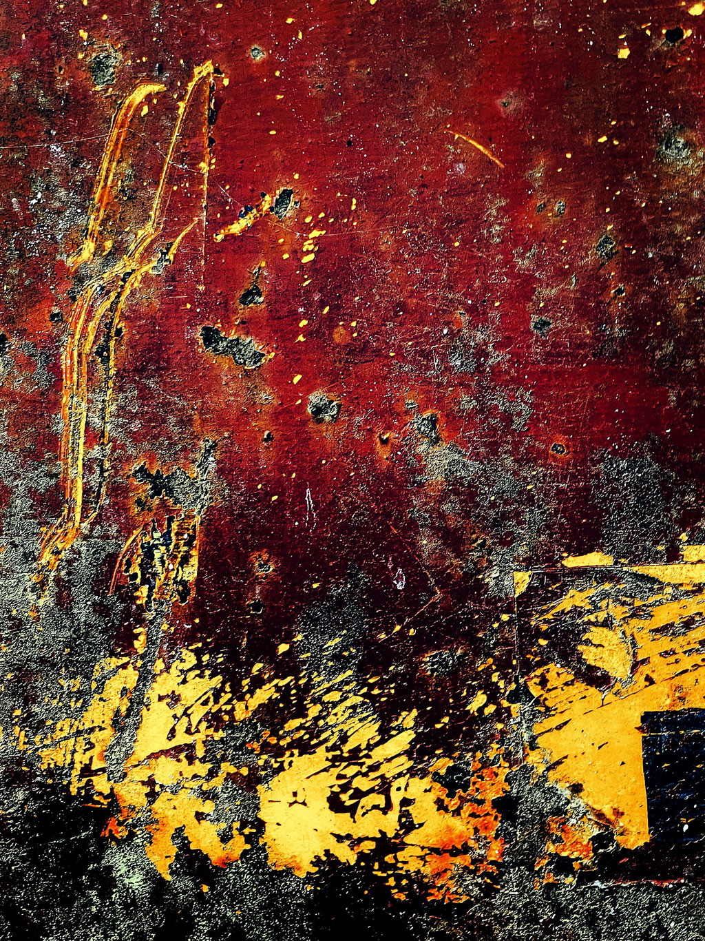 Muriel Gani_En dépit de tout_Photographie contrecollée sur Dibond_30x40_220€