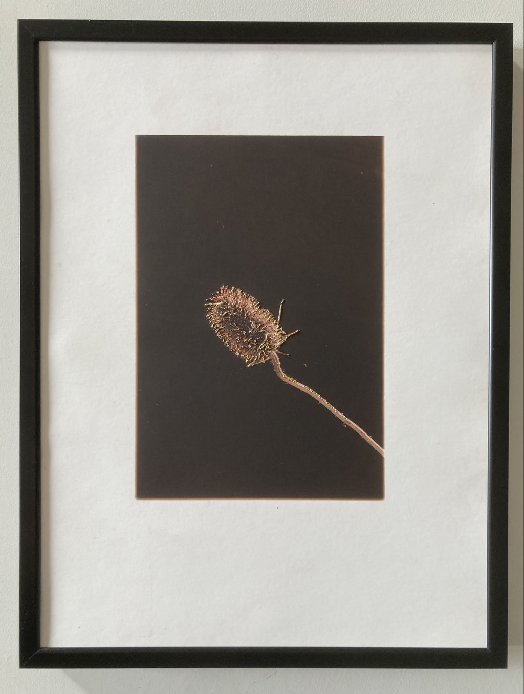 Géraldine de Montleau-Rigolleau, Chardon, Paris 2023_tirage argentique d’auteur sur papier baryté, virage cuivre, brodé au fil d’or et cuivre_18x24_60€