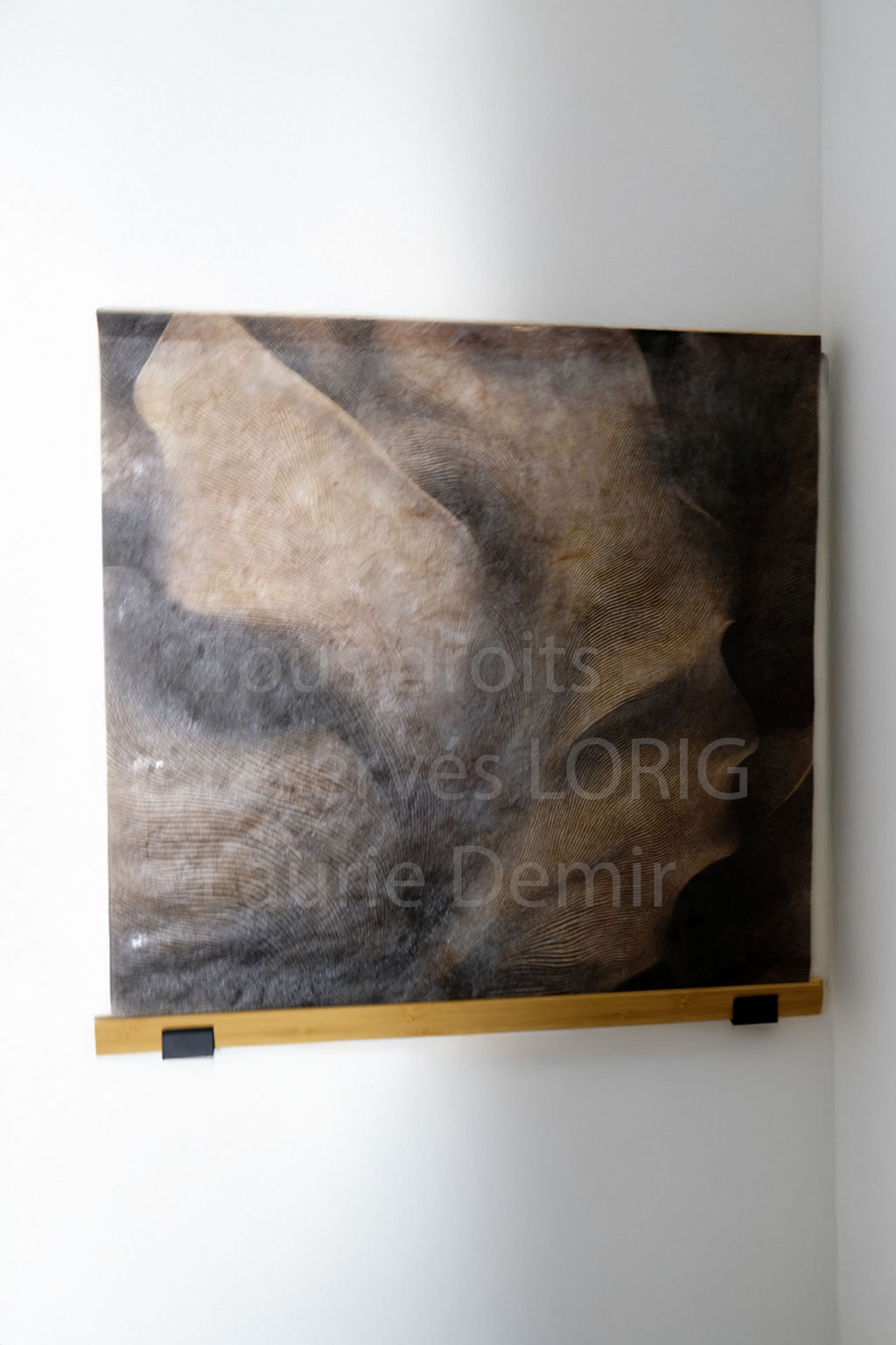 LORIG_LUMIERE ORGANIQUE 5