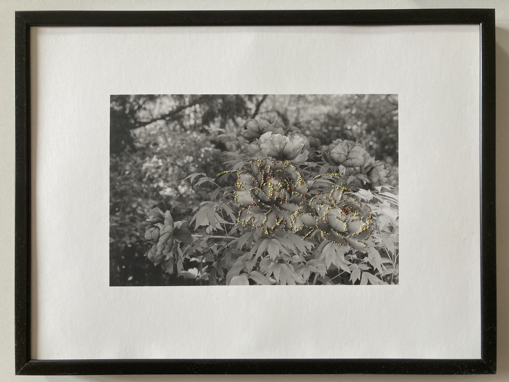 Geraldine de Montleau-Rigolleau fleurs, Paris 2023_tirage argentique d’auteur sur papier baryté, brodé au fil d’or et cuivre_18_24cm _unique 70€