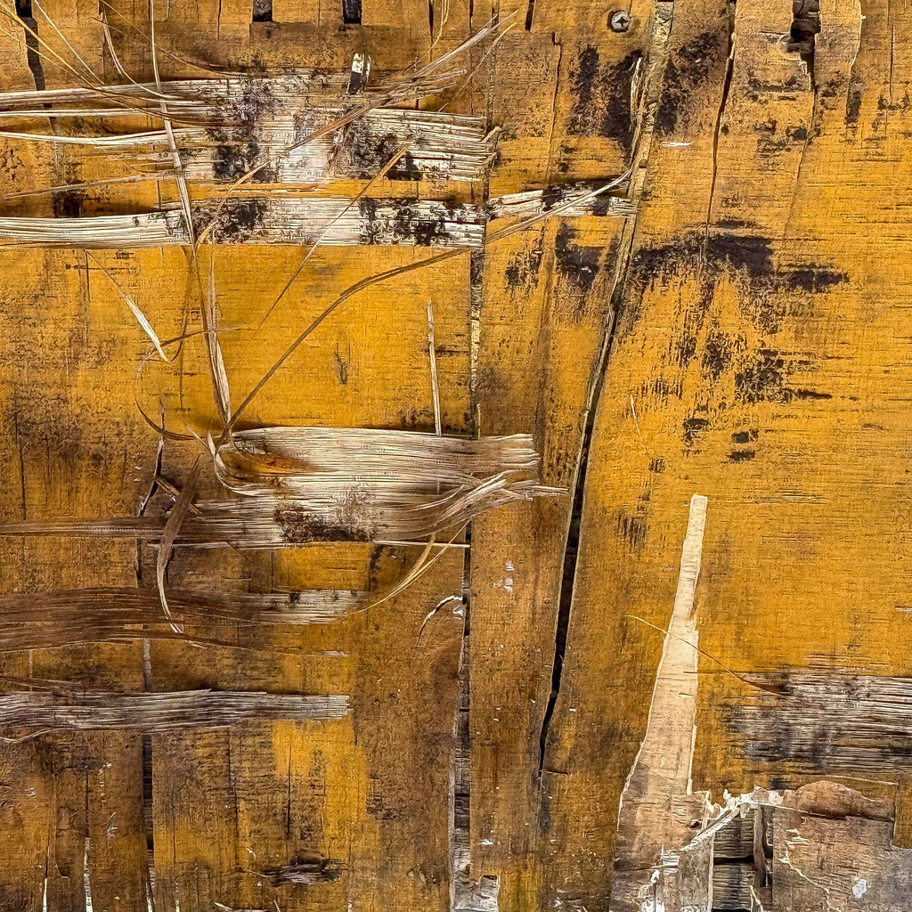Muriel Gani_Yellow straw_Photographie contrecollée sur Dibond_30x30_190€
