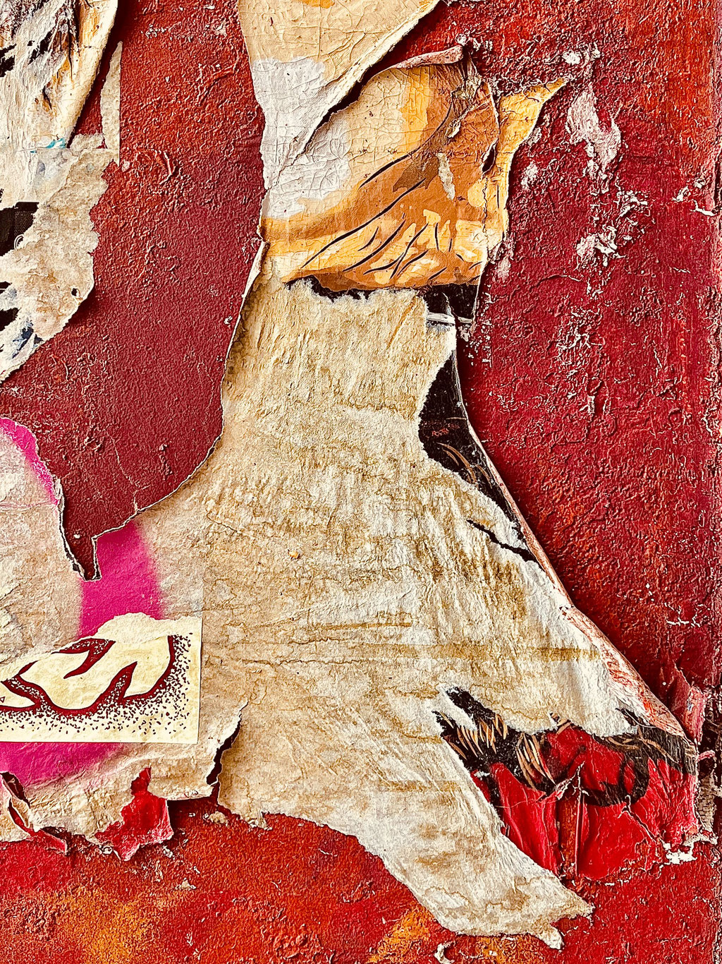 Muriel Gani_Déracinée en  scène_Photographie encadrée_30x40_220€