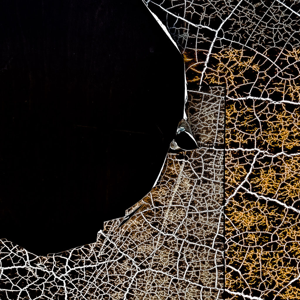 Muriel Gani_Too late to land_Photographie_20x20_90€